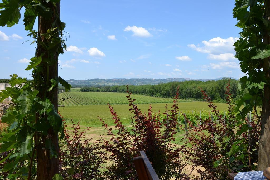 Poggio Alle Vigne Torgiano Exterior foto